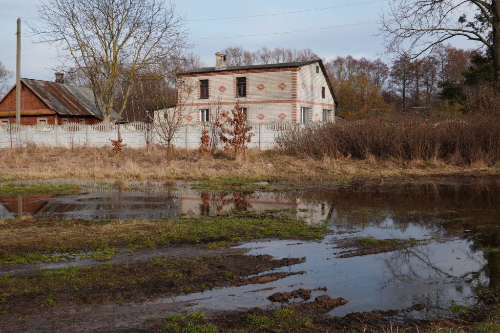 Большая вода. В черте Бреста подтоплен 131 садовый участок