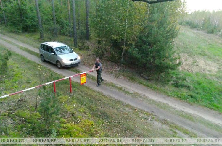 Попали в кадр: как в Ивацевичском лесхозе фотоловушки помогают бороться с нарушителями
