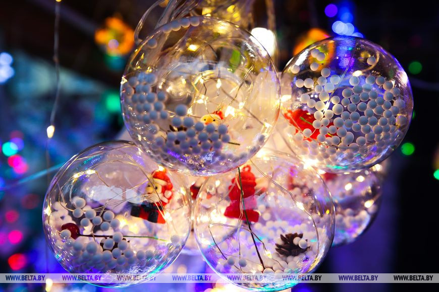 В Бресте заработали елочные базары