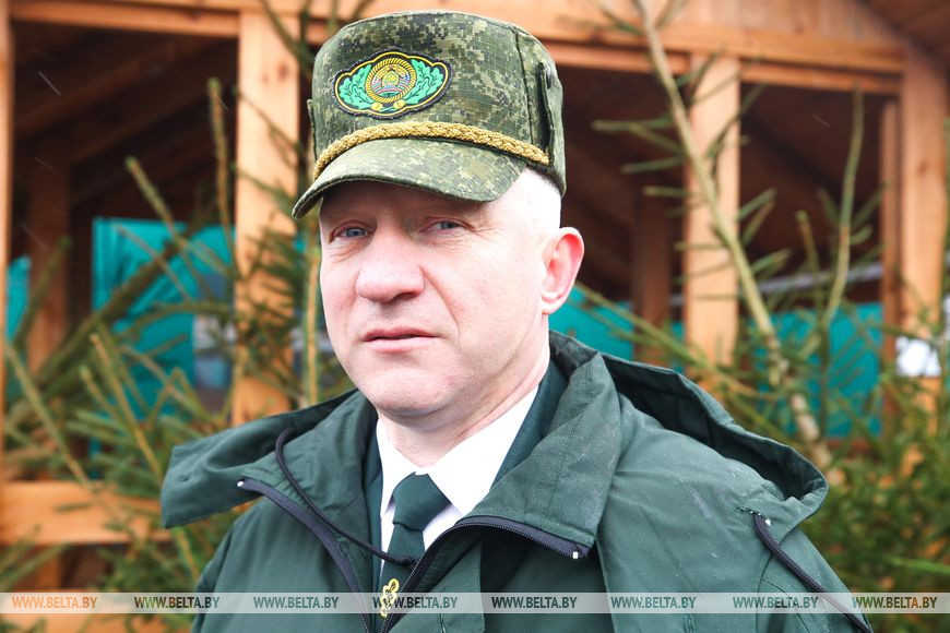 В Бресте заработали елочные базары