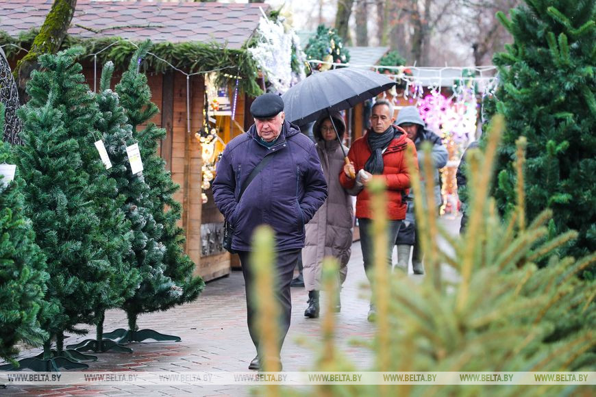 В Бресте заработали елочные базары