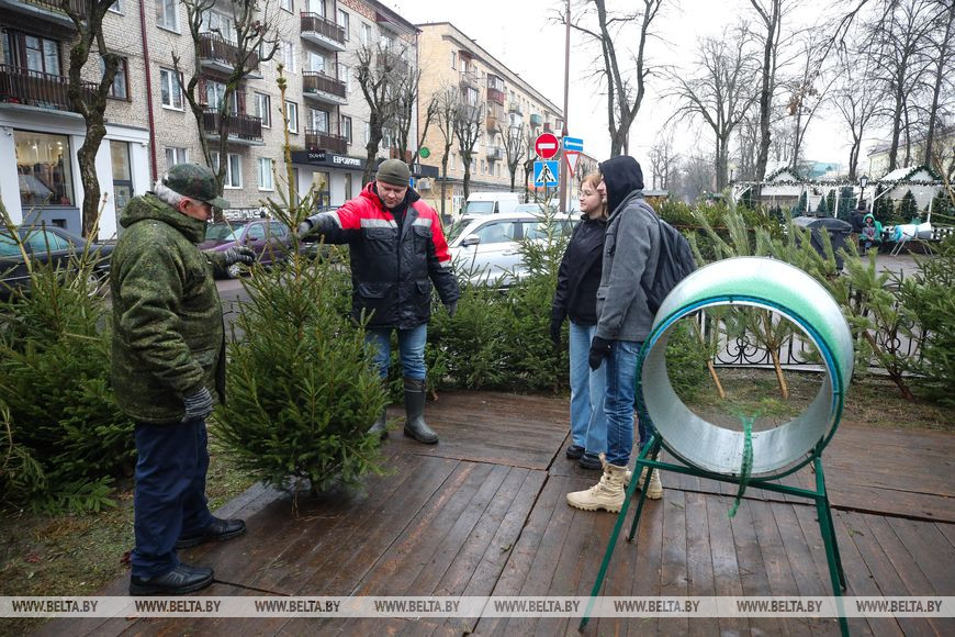 В Бресте заработали елочные базары