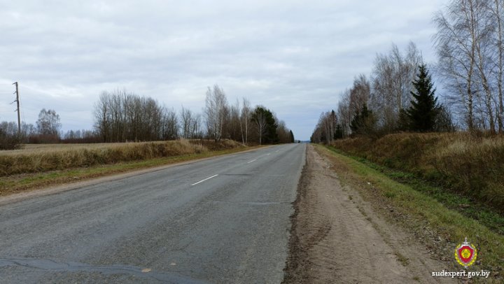 Белорус нашел на дороге мертвую косулю, забрал домой и разделал. Что ему за это грозит?