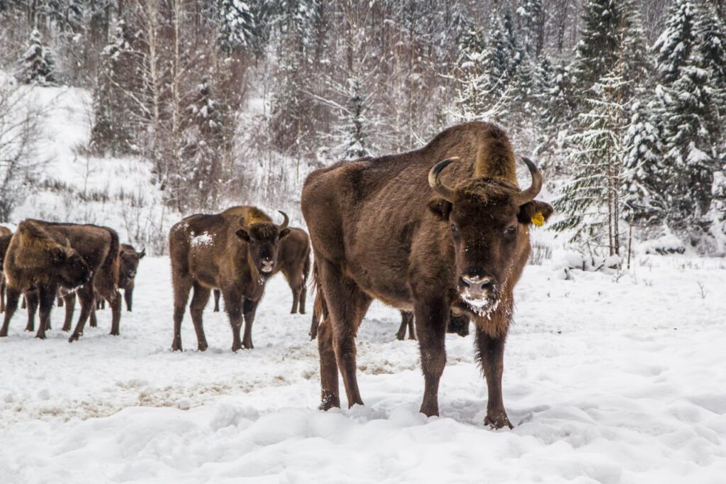 Фото из открытых источников (иллюстративное)