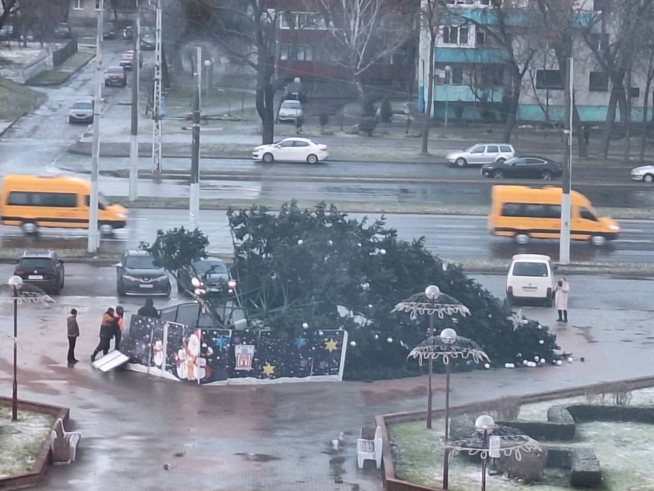 В Бресте упала новогодняя елка