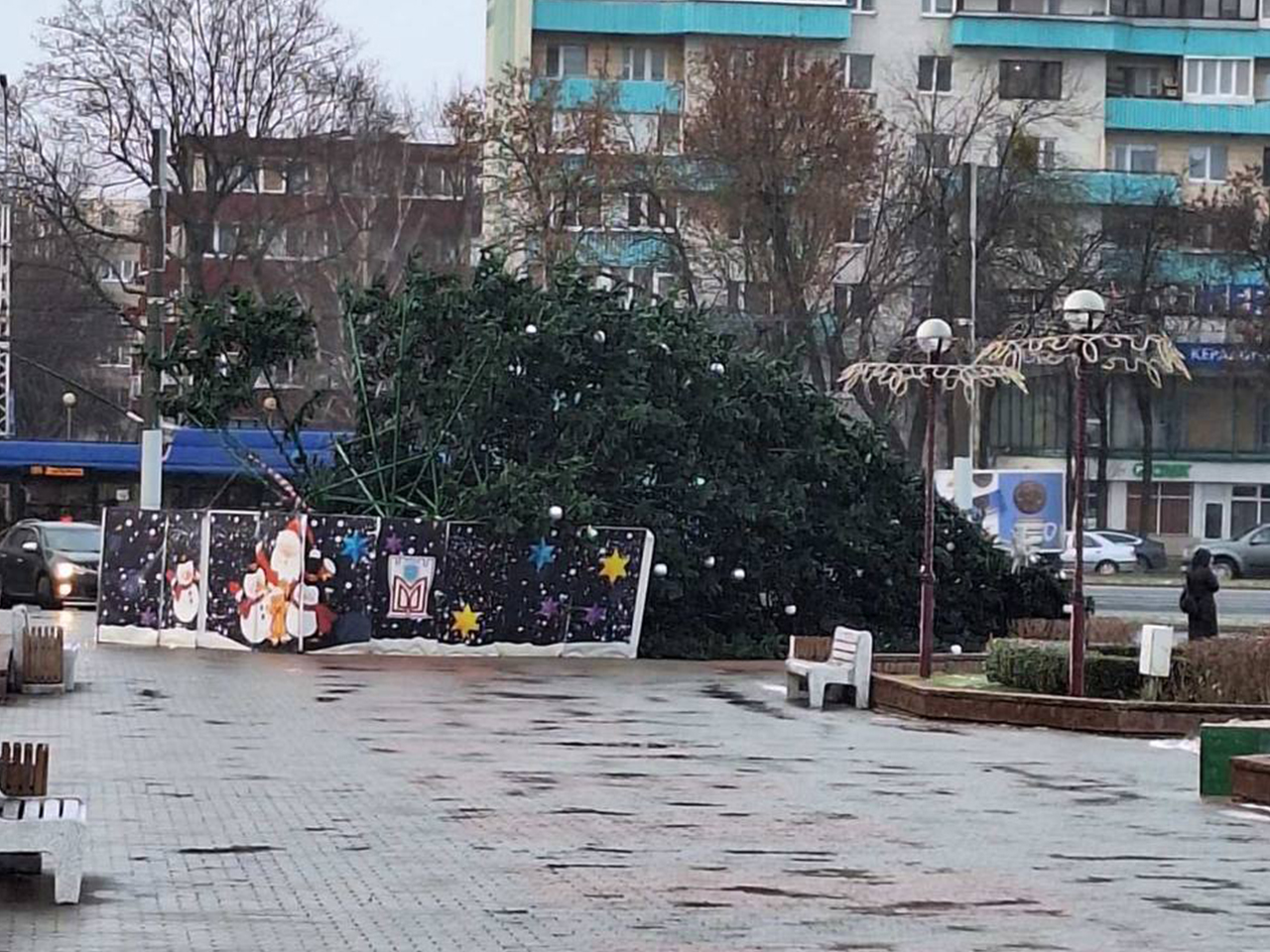 В Бресте упала новогодняя елка