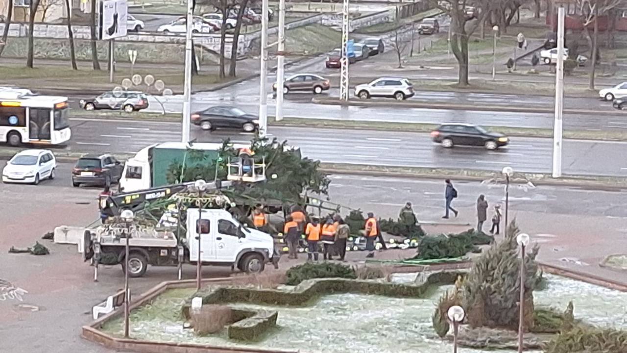 В Бресте упала новогодняя елка