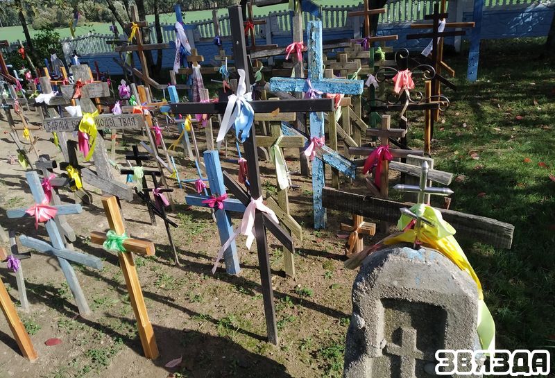 Жители Каменецкого района несут кресты к дереву, под которым, по легенде, деревенской девочке явилась Божья Матерь