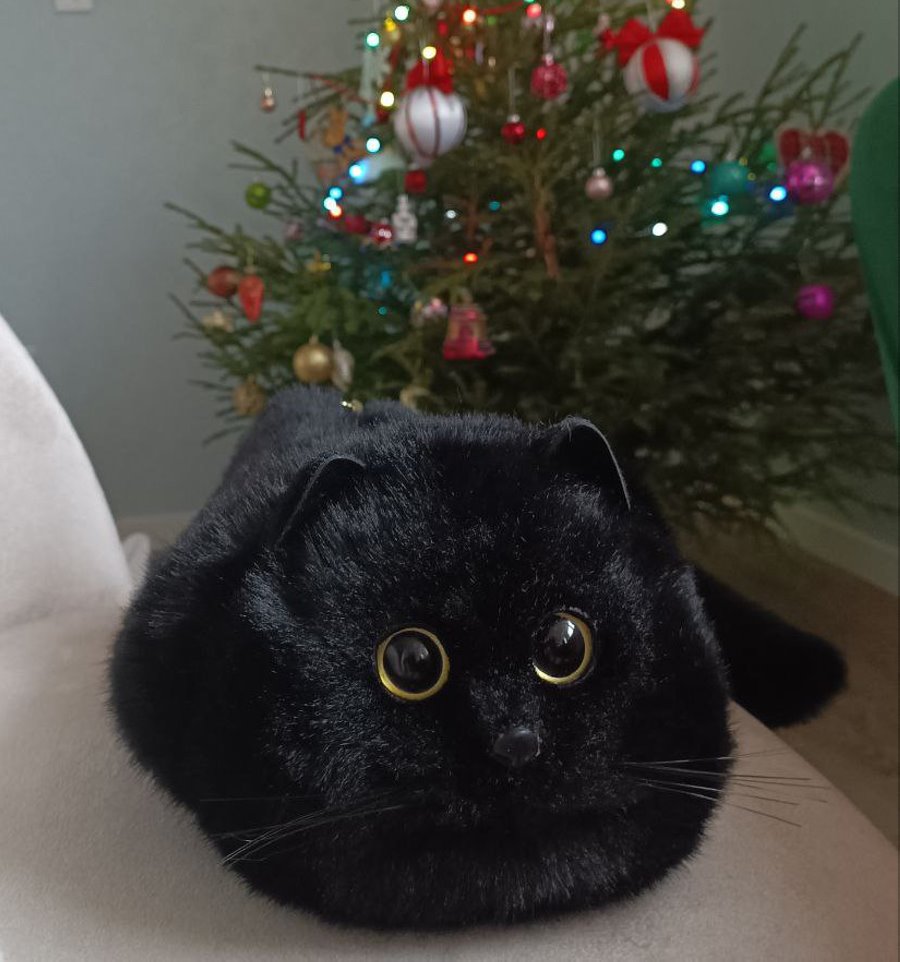 «Рад этому больше, чем какому-нибудь iPhone». Белорусы показывают свои подарки