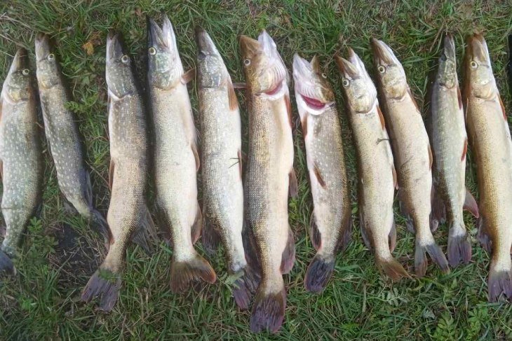 Девушка из Кобрина ломает стереотипы: увлекается рыбалкой, кикбоксингом и разбирается в металле