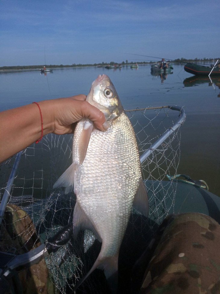 Девушка из Кобрина ломает стереотипы: увлекается рыбалкой, кикбоксингом и разбирается в металле