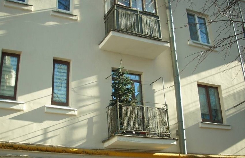 У белорусов до сих пор стоит новогодняя елка