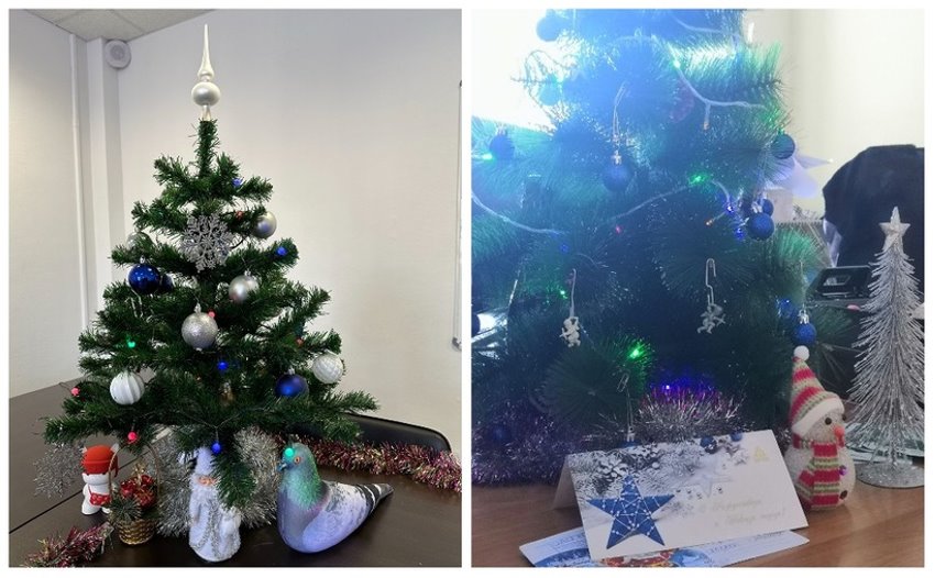 У белорусов до сих пор стоит новогодняя елка