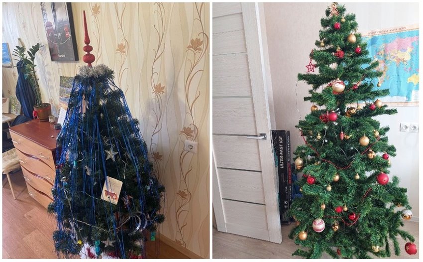 У белорусов до сих пор стоит новогодняя елка