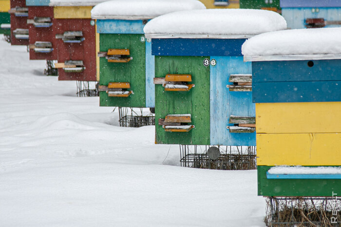 «Летом здесь гул — как на аэродроме». Семья переехала из столицы в старый дом в глухой деревне — и не жалеет