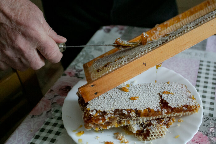 «Летом здесь гул — как на аэродроме». Семья переехала из столицы в старый дом в глухой деревне — и не жалеет