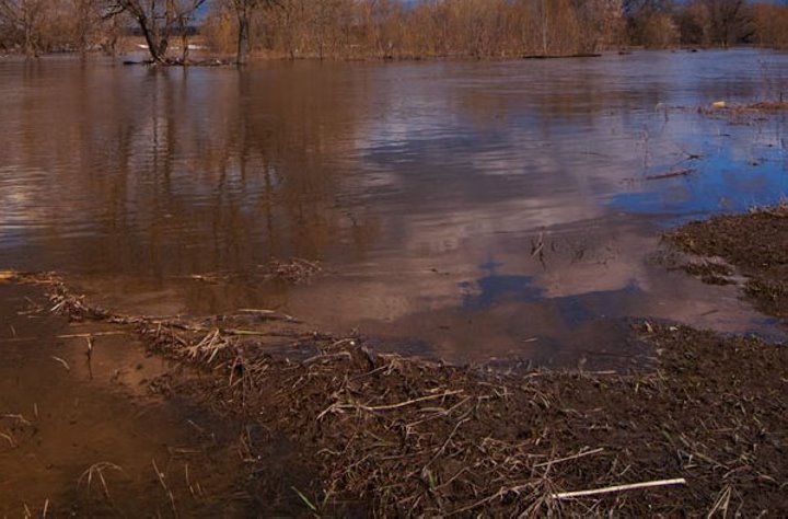 В разливе реки Припять в Брестской области утонул мужчина