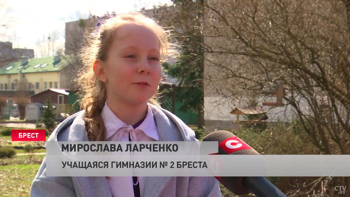 «О птицах надо заботиться». Брестские школьники украсили один из парков скворечниками