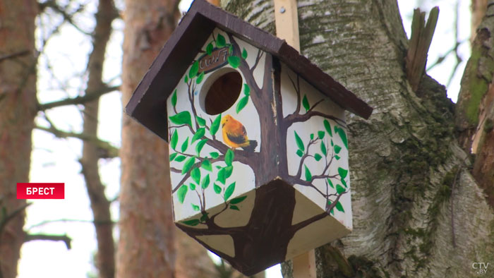 «О птицах надо заботиться». Брестские школьники украсили один из парков скворечниками