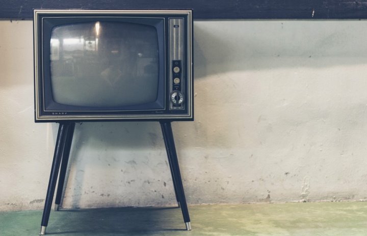 Мухи в телевизоре: жительница Лунинца столкнулась с необычной проблемой