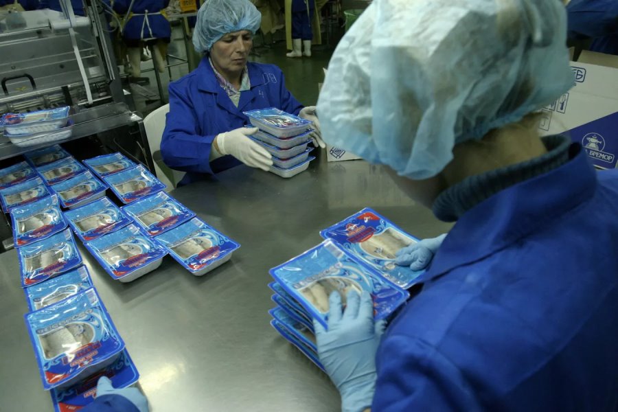 Из Беларуси с любовью: белорусские продукты в Дубае стоят в 8 раз дороже