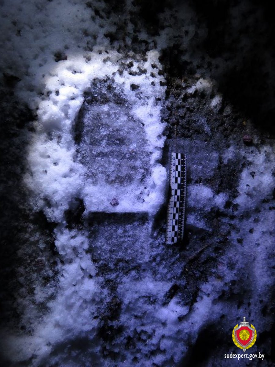 В Беларуси обокрали «ферму» для майнинга криптовалюты