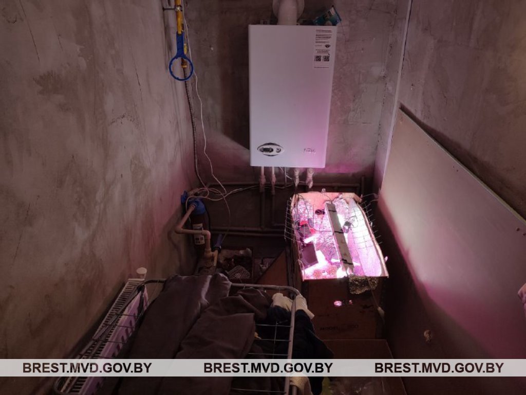 Необычную лабораторию нашли у 39-летнего жителя Ивановского района