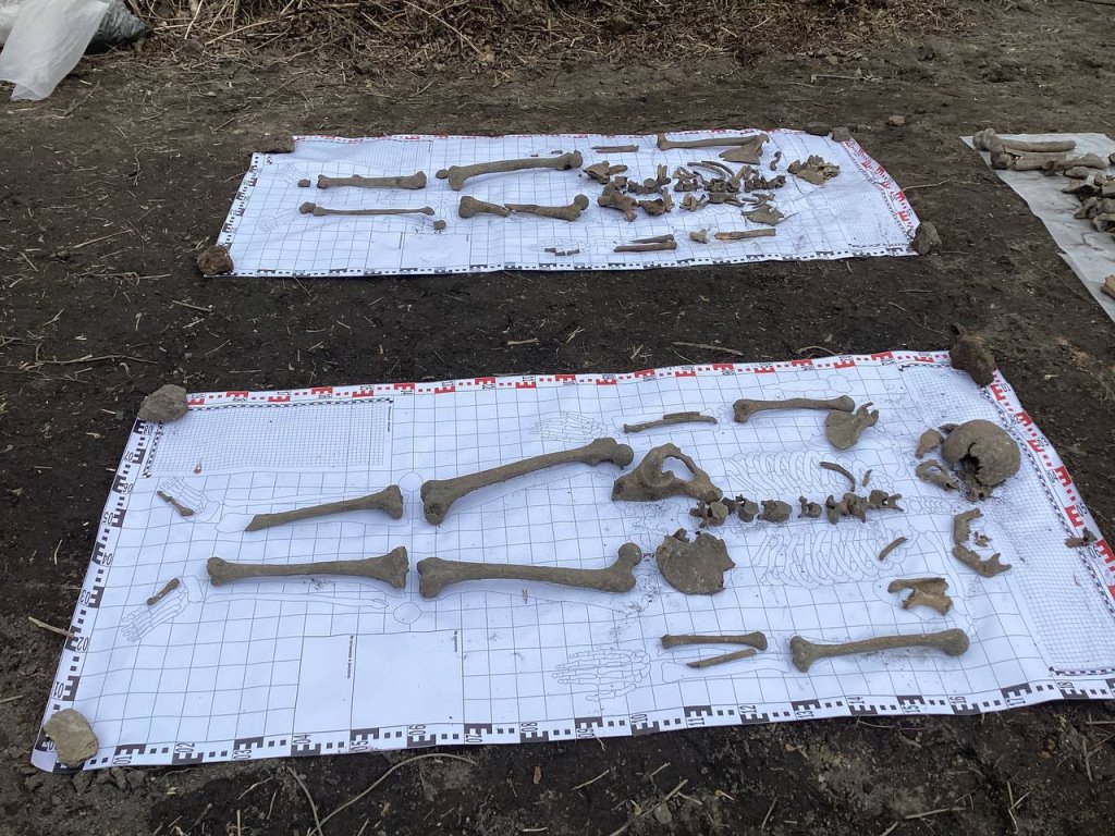 Найдены останки нескольких человек, патроны и монеты - раскопки на валу Брестской крепости