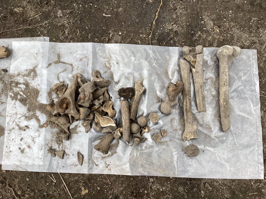 Найдены останки нескольких человек, патроны и монеты - раскопки на валу Брестской крепости