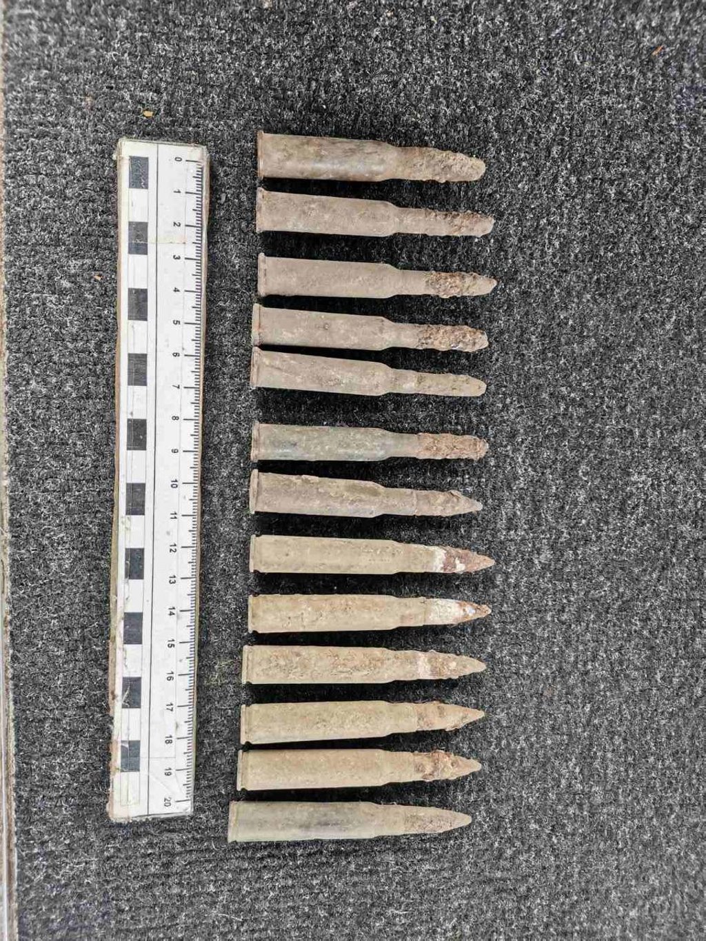 Найдены останки нескольких человек, патроны и монеты - раскопки на валу Брестской крепости