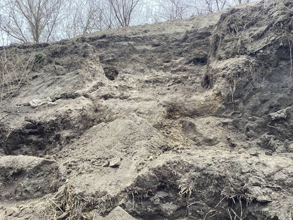 Найдены останки нескольких человек, патроны и монеты - раскопки на валу Брестской крепости