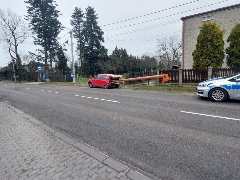 Поляки смеются над водителем Fiat, который превратил малютку в лесовоз и получает за это штрафы