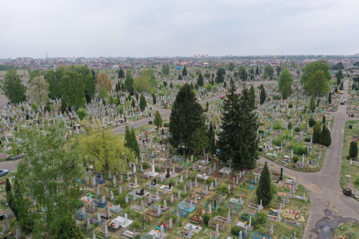 Фото носит иллюстративный характер / ВаськаПилот