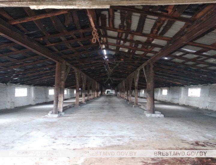 Четырех человек подозревают в хищении КРС в хозяйстве Березовского района