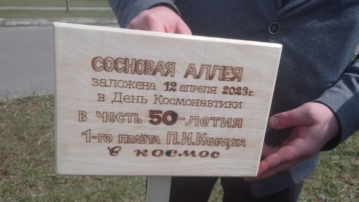 На малой родине космонавта Петра Климука в Брестском районе появилась сосновая аллея