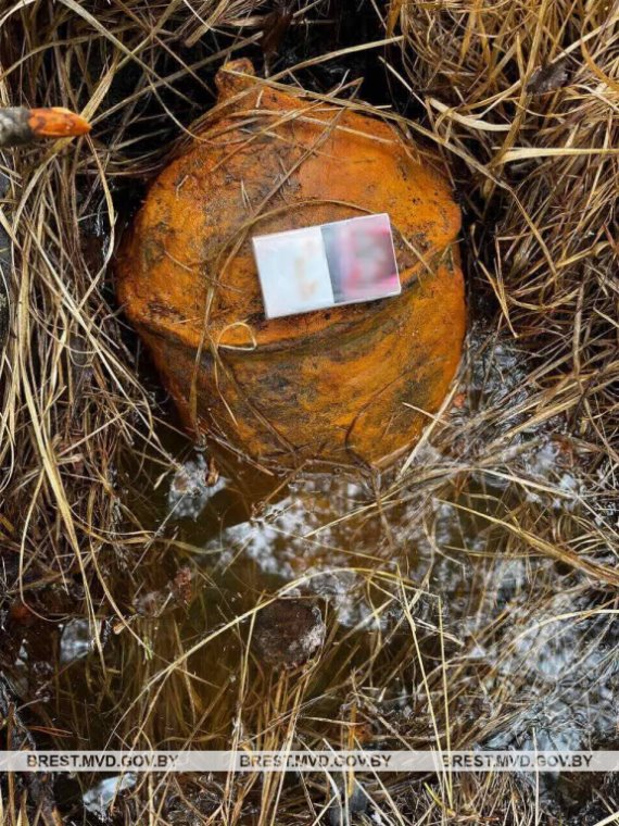 Три авиабомбы времен войны обнаружили пограничники в Столинском районе