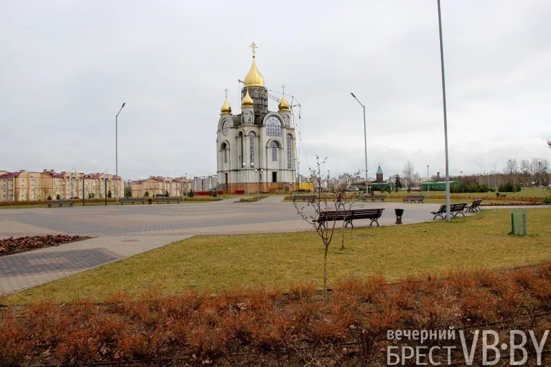 Парк тысячелетия Бреста прирос липами