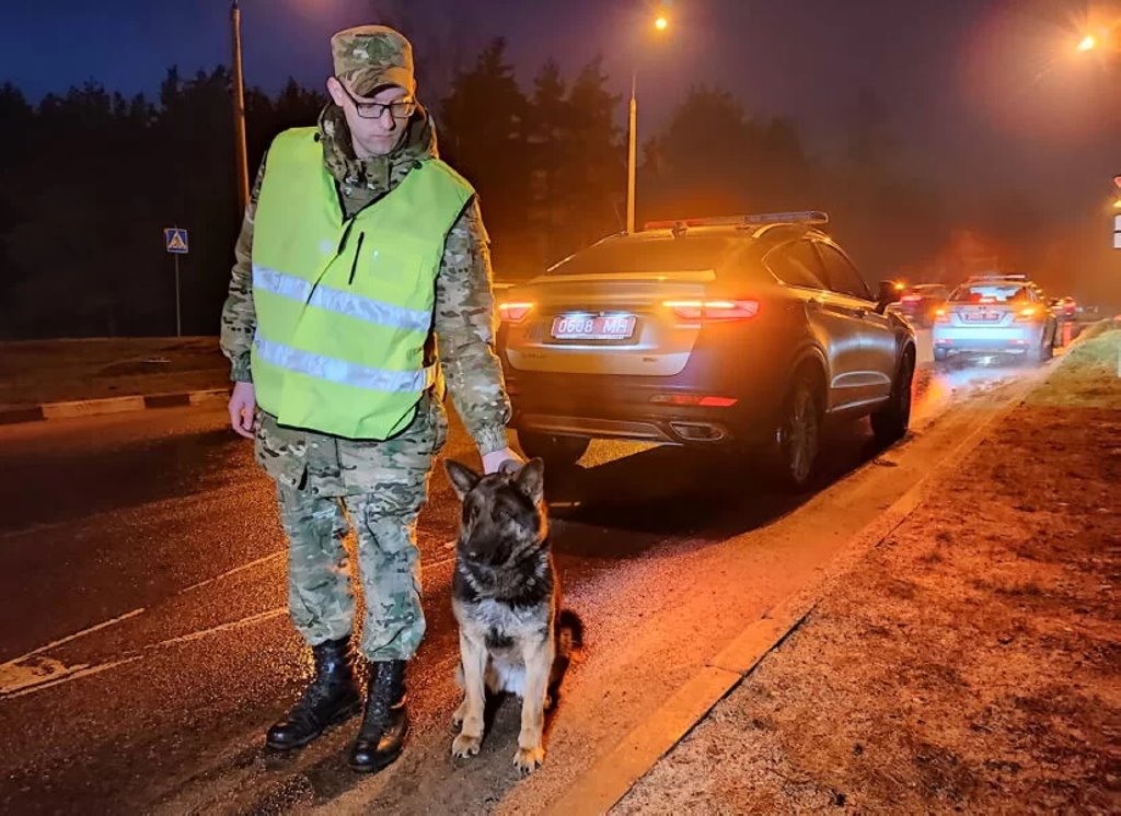 ГАИ будет проводить рейды с собаками и квадрокоптерами