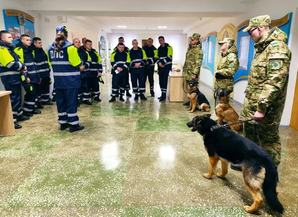 ГАИ будет проводить рейды с собаками и квадрокоптерами