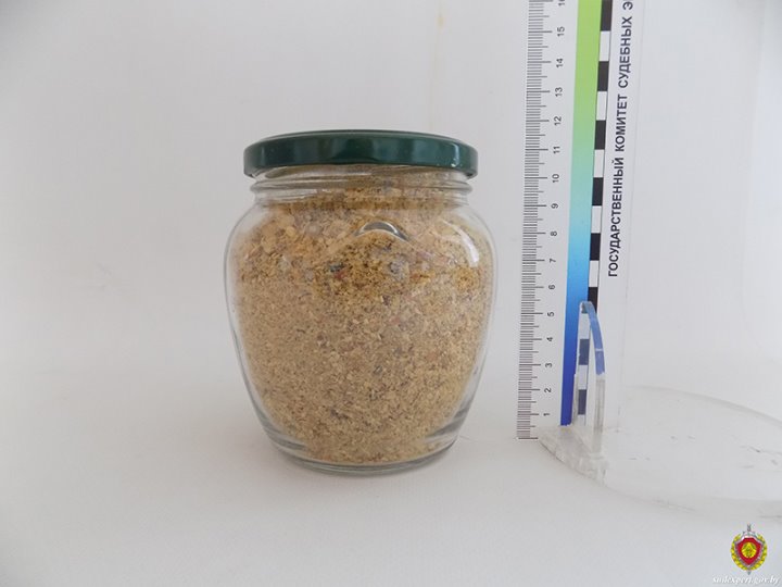 Белорус поел мухоморов. Вот к чему это привело