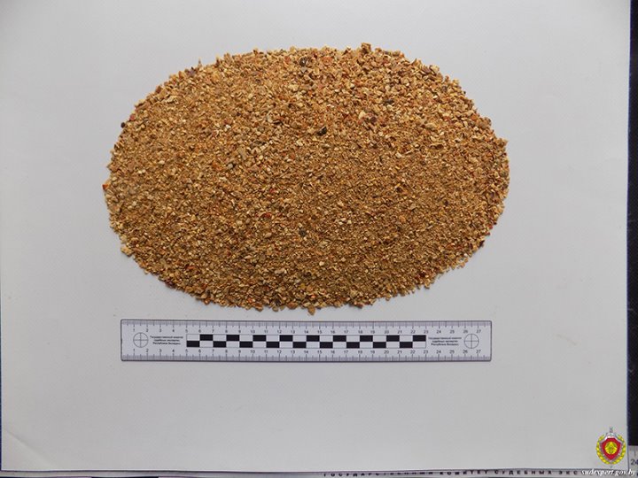 Белорус поел мухоморов. Вот к чему это привело