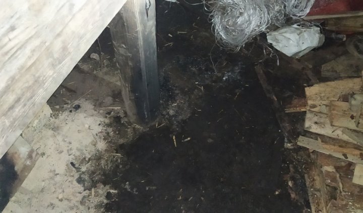 Получивший ожоги 30% тела школьник из Брестской области находится в реанимации. Подробности от СК