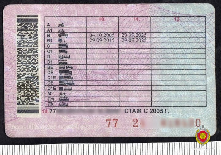 Белорус дважды попался нетрезвым. Во второй раз в ГАИ заметили ещё и поддельные права