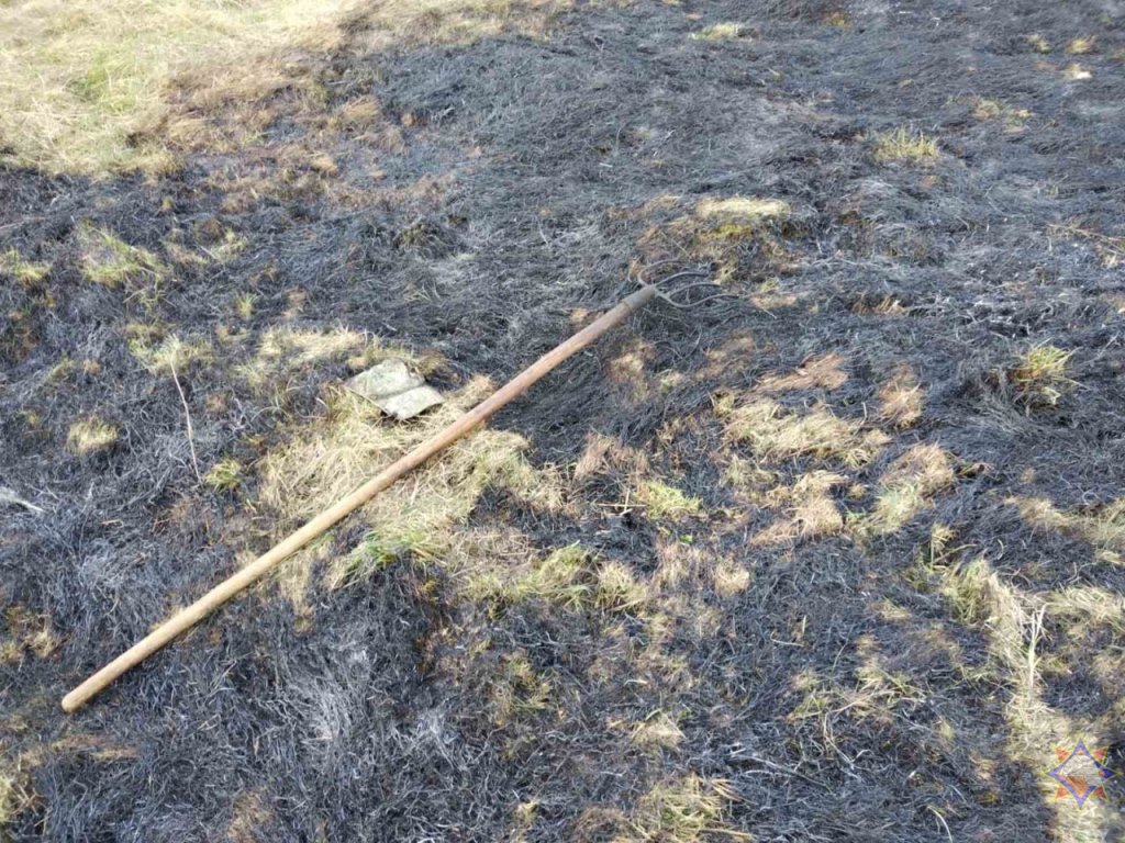 В Ивацевичском районе во время пала сухой растительности пострадал мужчина