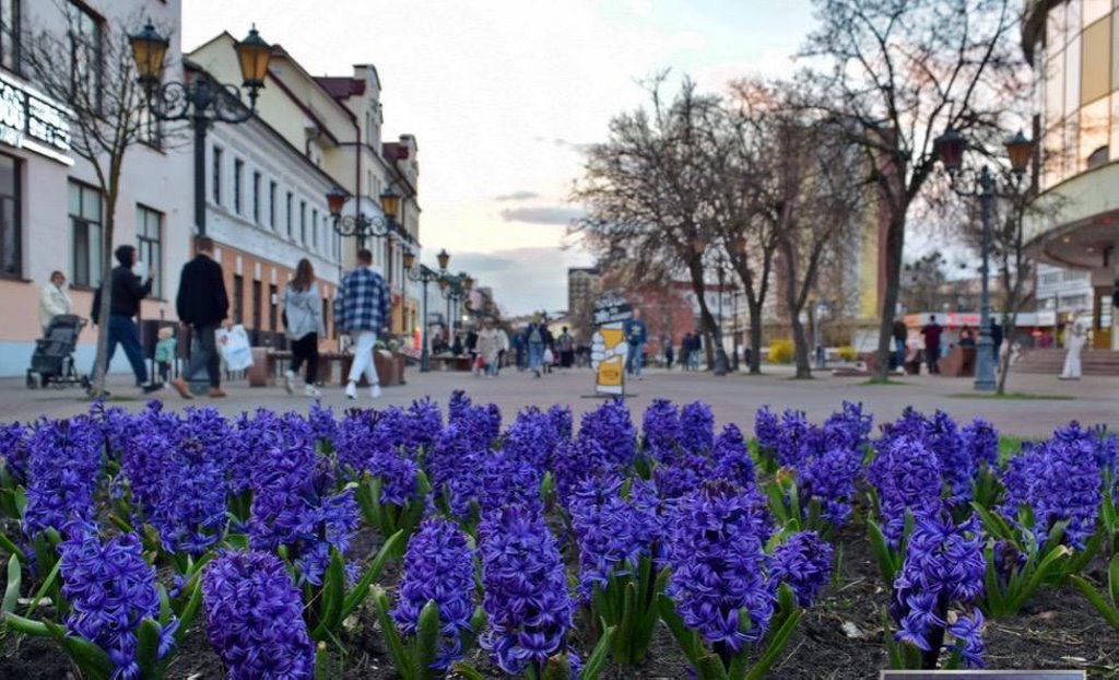К майским праздникам Брест украсят около 100 тысяч ярких весенних цветов