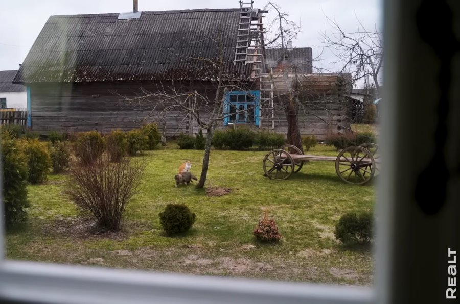 Две веранды и пять печей. Семья отремонтировала родительский дом в Брестской области и превратила его в уютную усадьбу