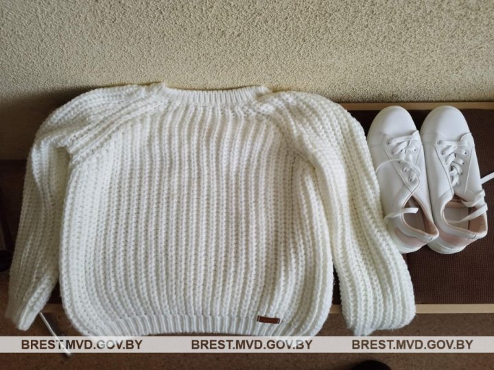 Житель Барановичей обокрал квартиру своей девушки, пока хозяйка была в отъезде