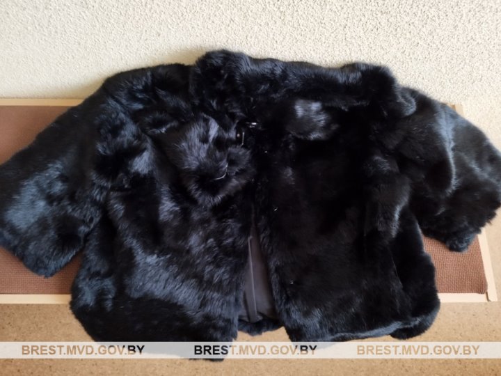 Житель Барановичей обокрал квартиру своей девушки, пока хозяйка была в отъезде