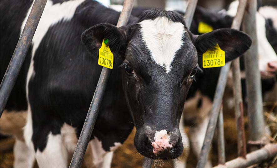 Фото из открытых источников (иллюстративное)