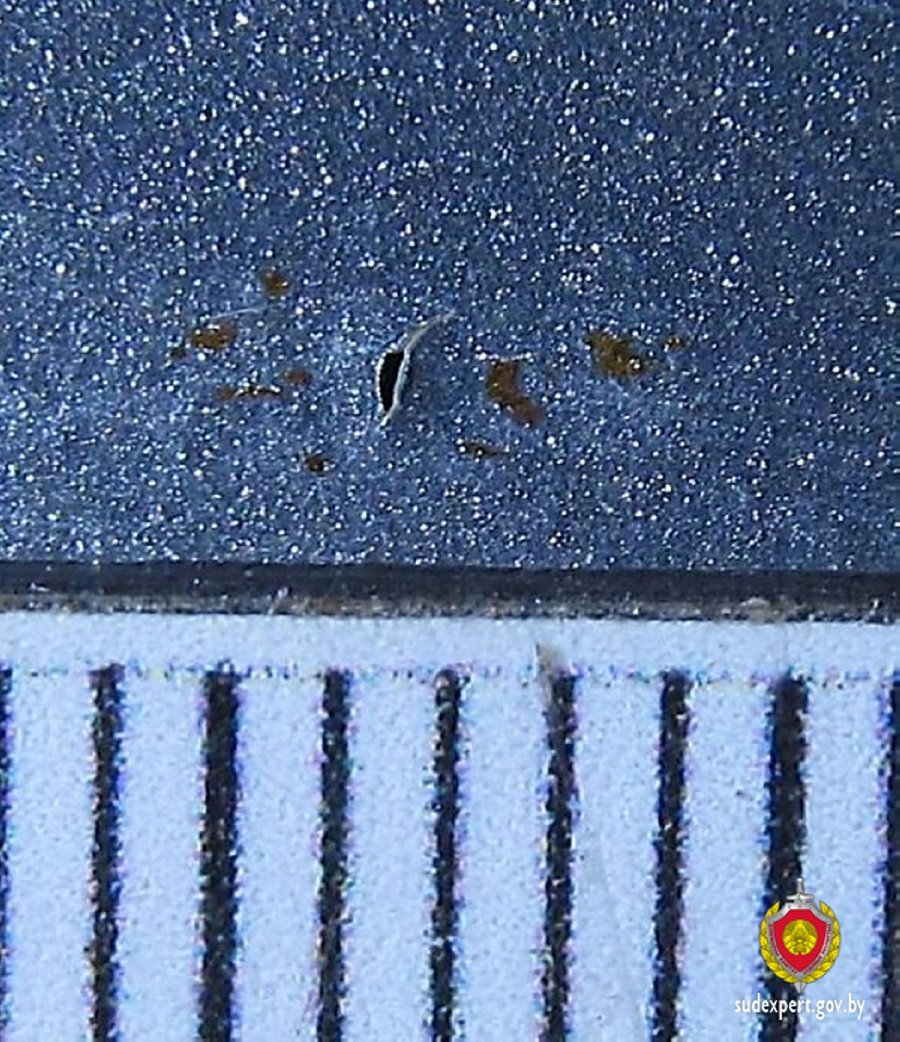 Взяли в салоне новый автомобиль, а на нем «жуки» — как такое возможно?